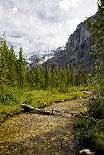 hike to the stanley glacier bc canada.jpg